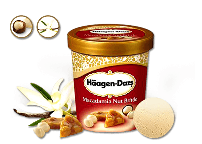 HAGEN DAZS 460ml 